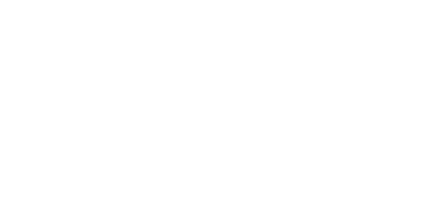 THE EXPERIENCE SPA LOGO