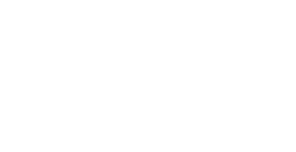 THE EXPERIENCE SPA LOGO