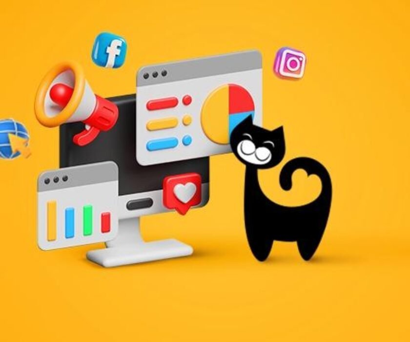 Digital Marketing Agency in Kerala